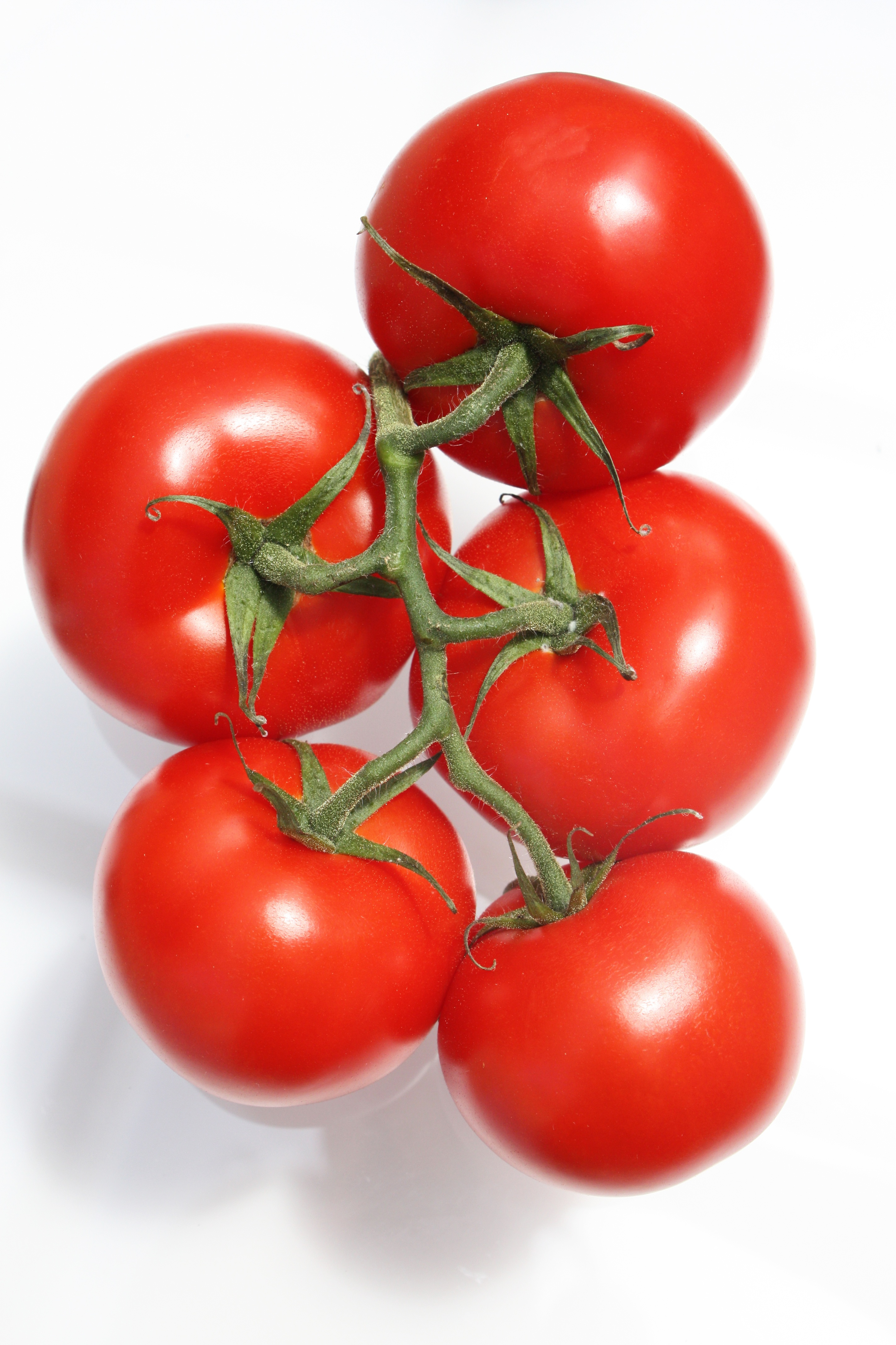 tomato-bunch-mature-red-48802