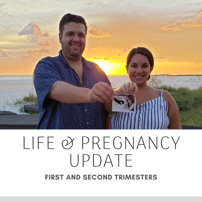 Life & Pregnancy Update